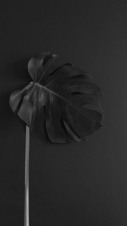 resized_18_api